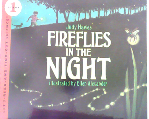 Fireflies in the Night